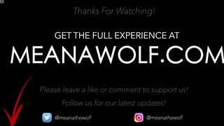 Hot For Teacher - Meana Wolf