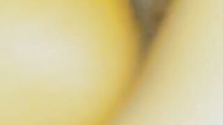 bubble butt honey rihanna look alike bootie