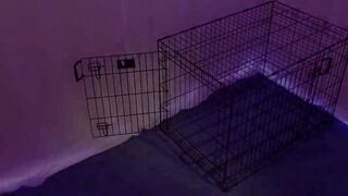 Lady Ashley - Obedient October 2024 Preview