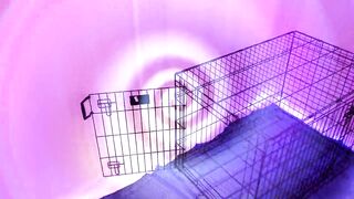 Lady Ashley - Obedient October 2024 Preview