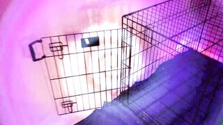 Lady Ashley - Obedient October 2024 Preview