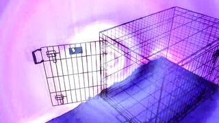 Lady Ashley - Obedient October 2024 Preview