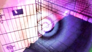 Lady Ashley - Obedient October 2024 Preview