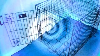 Lady Ashley - Obedient October 2024 Preview