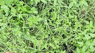 Pissing in the sun ???? and cumming in the garden ???????? I'm becuming adickted to pee porn!